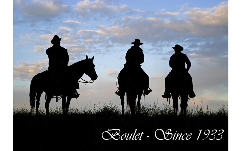 Boulet Boots - Horses